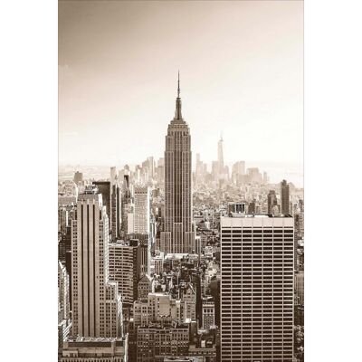 Laminiertes Poster: Buldings New York 61cm x 91cm