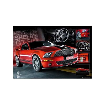 Laminated poster: Mustang 61cm x 91cm