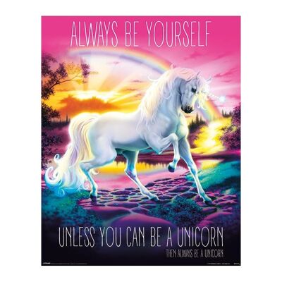 Poster plastifié: Licorne 40cm x 50cm II