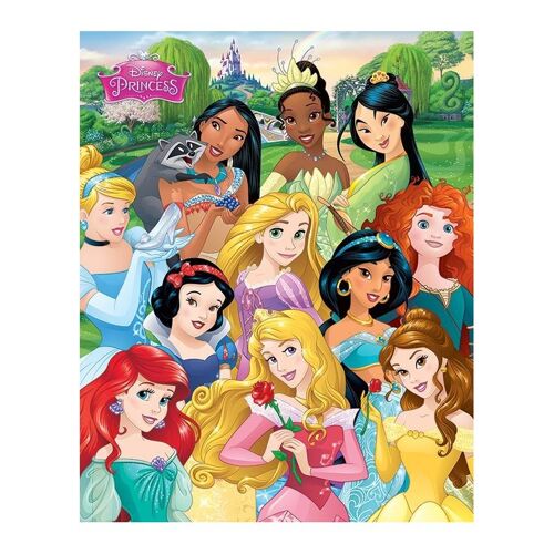 Poster plastifié: Disney Princess (I Am a Princess) 40cm x 50cm