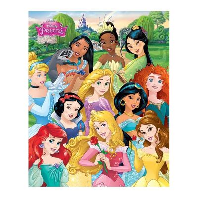 Laminated poster: Disney Princess (I Am a Princess) 40cm x 50cm