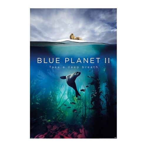 Poster plastifié: BLUE PLANET II 61cm x 91cm