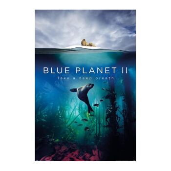 Poster plastifié: BLUE PLANET II 61cm x 91cm