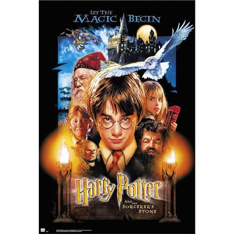 Poster laminato: Harry Potter e la pietra filosofale 61 cm x 91 cm