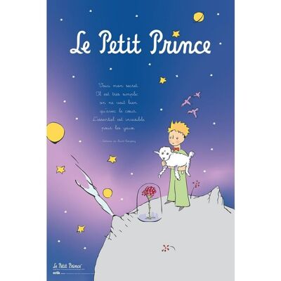 Poster plastifié: Le petit prince 61cm x 91cm