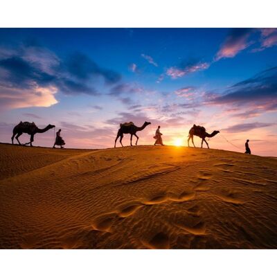 Laminated poster: Caravan in the desert 40cm x 50cm