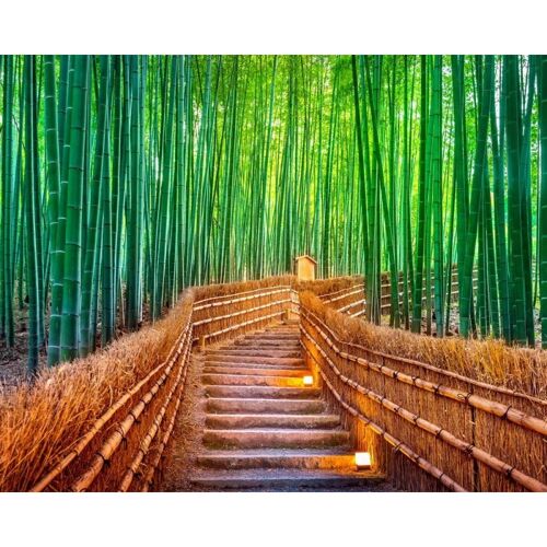 Poster plastifié: P0393 -Forêt de bambou 40cm x 50cm
