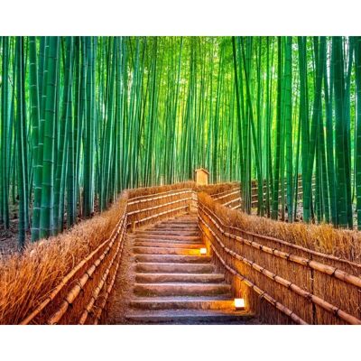 Laminated poster: P0393 -Bamboo forest 40cm x 50cm