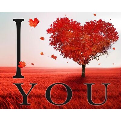 Laminated poster: I love you 40cm x 50cm