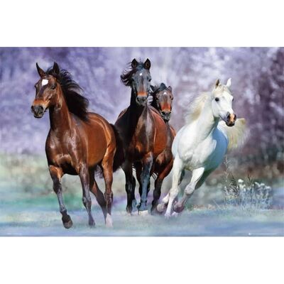 Laminated poster: Galloping horses 61cm x 91cm