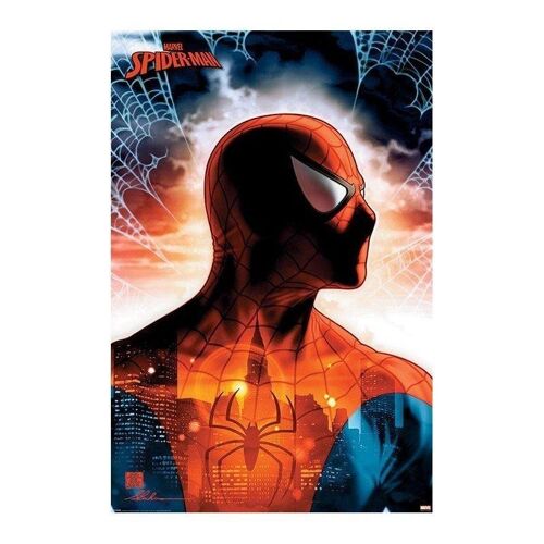 Poster plastifié: Spider-Man (Protector Of The City) 61cm x 91cm