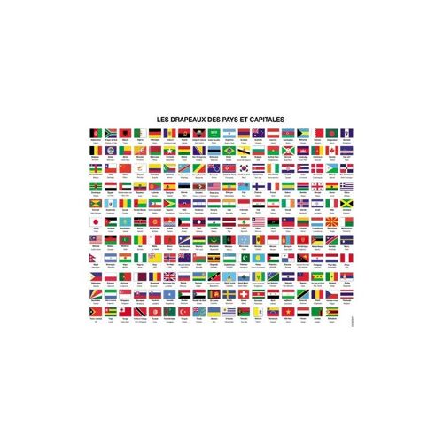 Poster plastifié éducatif: Les Drapeaux et Capitales du monde 40cm x 50cm