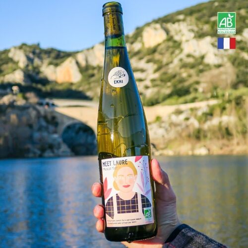 VIN BLANC Muscat sec 2023 - Laissez-vous surprendre 💛