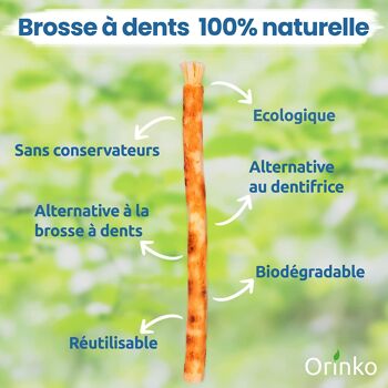 Lot de 6 Bâtons de Siwak – Brosse à Dents 100% Naturelle – Nettoyant, Désinfectant et Blanchissant - Écologique, Biodégradable et Végan 2