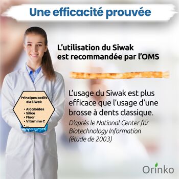 Bâtons de Siwak (Miswak) x6 - Brosse à dents 100% naturelle 5