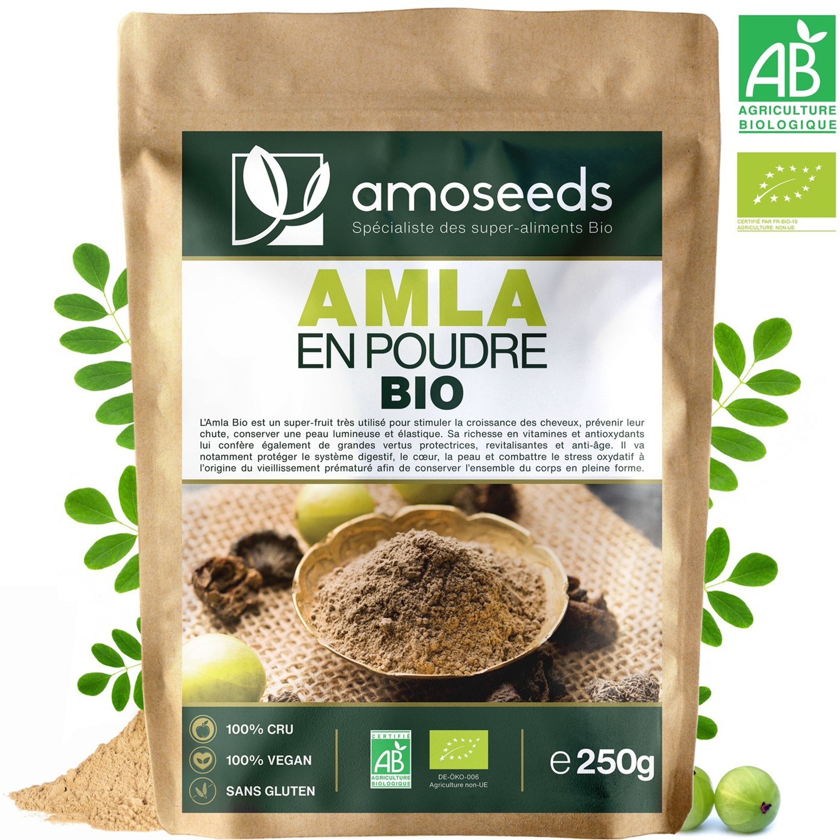 Buy wholesale Amla Powder Organic 250G