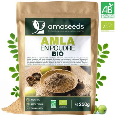 Amla Powder Organic 250G