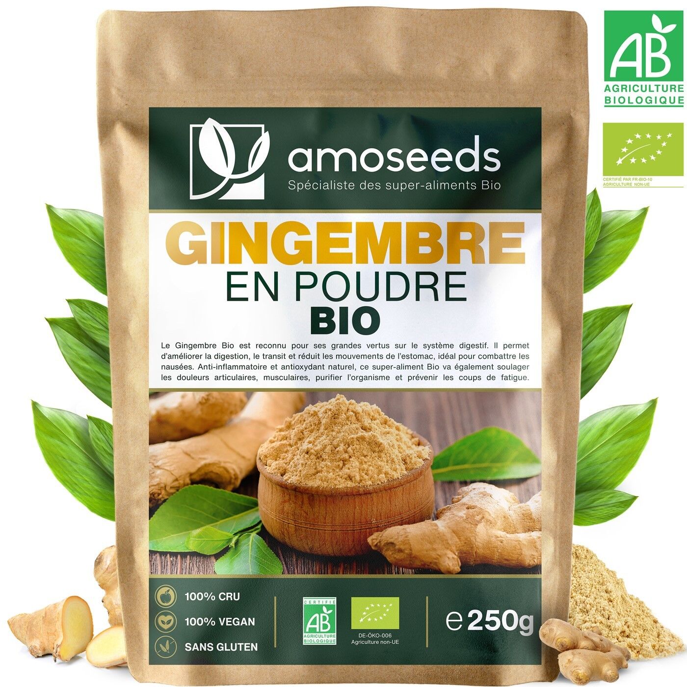 Zenzero in Polvere Biologico 250G