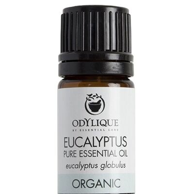 Essentiële Olie Eucalyptus 5ml