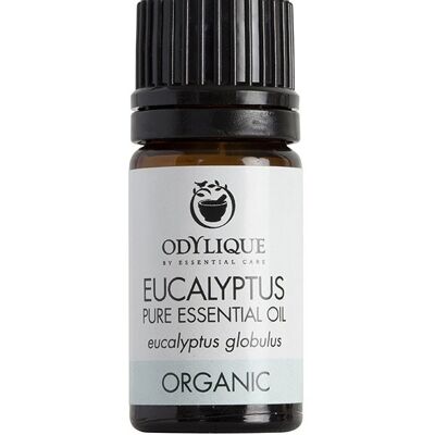 Essentiële Olie Eucalyptus 5ml