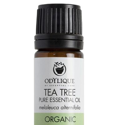 Essentiële Olie Tea Tree 5ml