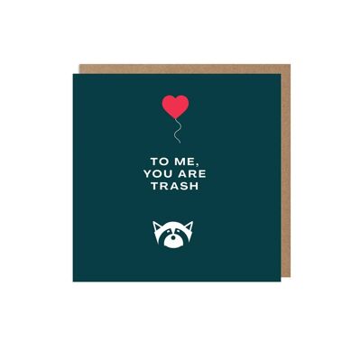 Raccoon Funny Love Card