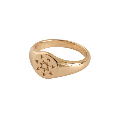 Timi of Sweden | Signet Ring - Gold | Exclusive Scandinavian design that is the perfect gift for every women