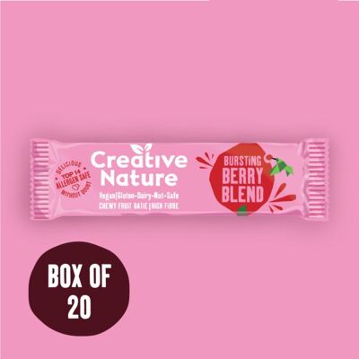 Vegan Berry Blend Fruit Oatie Bar 38g x 20