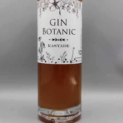 Gin botanic 43° 70cl