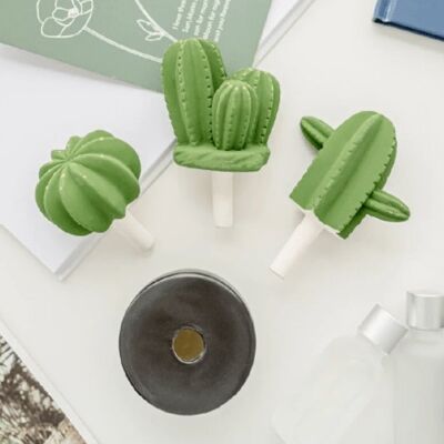 Cactus Air Freshener