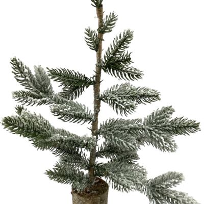 Natürlicher Weihnachtsbaum auf Holzsockel | 46 cm | Dekorativer Weihnachtsbaum | Kiefer | Holzsockel | Grün