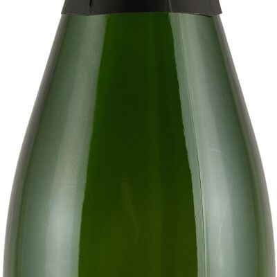 RIESLING CREMANT EXTRA SEC | Selezione Noir