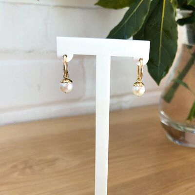 Harper Solid Gold Huggie Hoops with Pearls