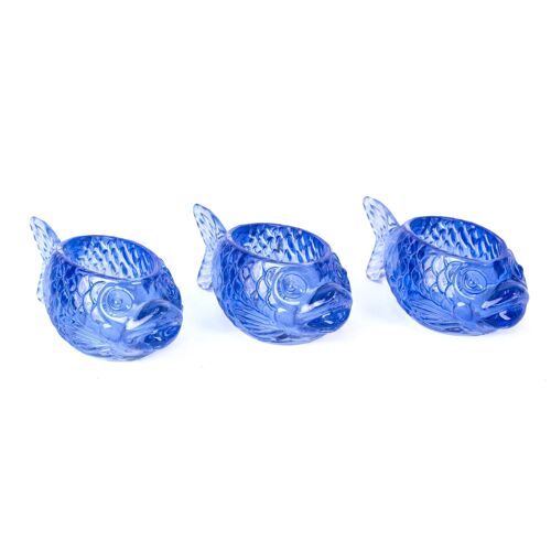 Pack of 3 fish container hf