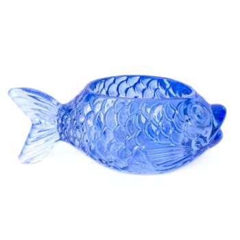 PACK DE 3 CONTENANT POISSON HF 2