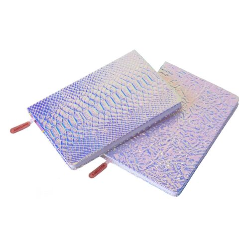 Holo a5 notebooks hf