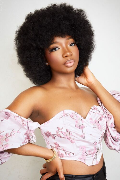 Imani Afro Wig x