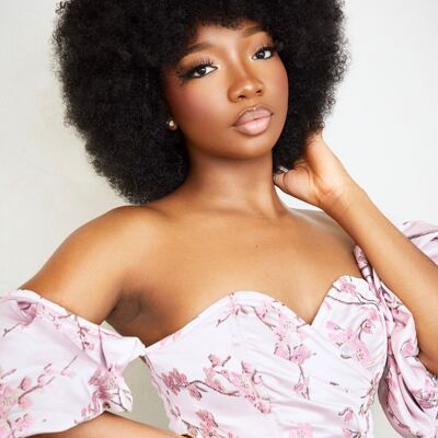 Imani Afro Wig