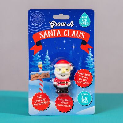 Grow a Santa Claus Toy - Christmas Childrens Stocking Fillers