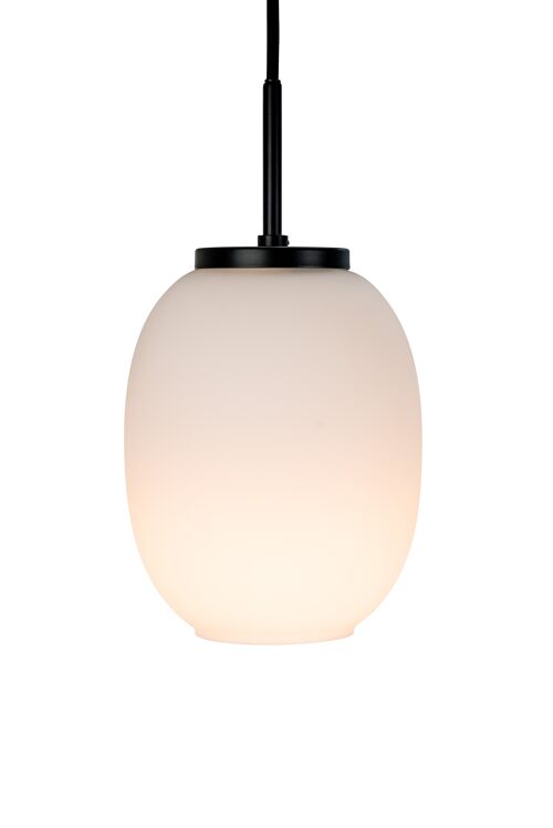DL39 Opal/ black Small pandent lamp