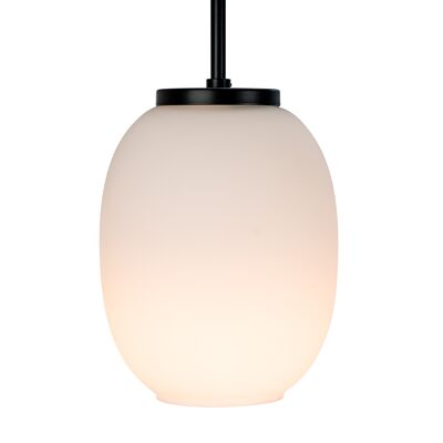 DL39 Opal/ black Small pandent lamp