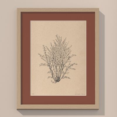 Drucken Haselnussbaum mit Passepartout und Rahmen | 40cm x 50cm | Casa Otellic