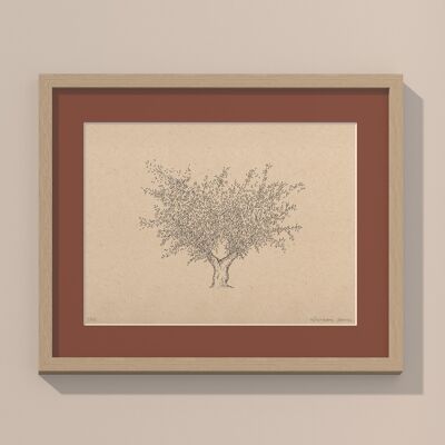 Print Olive tree with passe-partout and frame | 40cm x 50cm | Casa Otellic