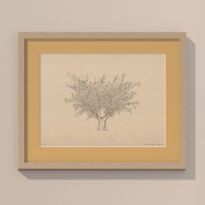 Drucken Olivenbaum mit Passepartout und Rahmen | 40cm x 50cm | nein