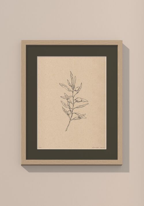 Print Olijftak met passe-partout en lijst | 40 cm x 50 cm | Cavolo Nero