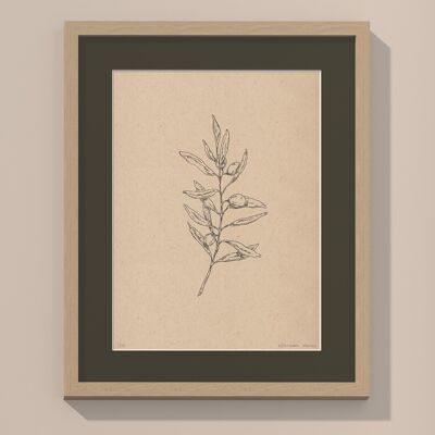 Print Olive branch with passe-partout and frame | 40cm x 50cm | Cavolo Nero