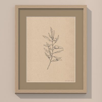 Print Olive branch with passe-partout and frame | 40cm x 50cm | lino
