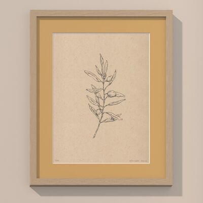 Imprimir Rama de olivo con paspartú y marco | 40cm x 50cm | noce