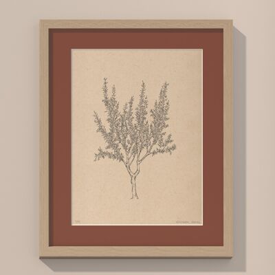 Drucken Mandelbaum mit Passepartout und Rahmen | 40cm x 50cm | Casa Otellic