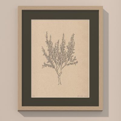 Print Almond tree with passe-partout and frame | 40cm x 50cm | Cavolo Nero